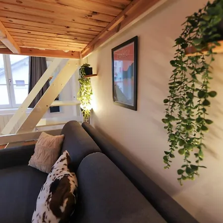Apartment Le Petit - Confortable Avec Parking