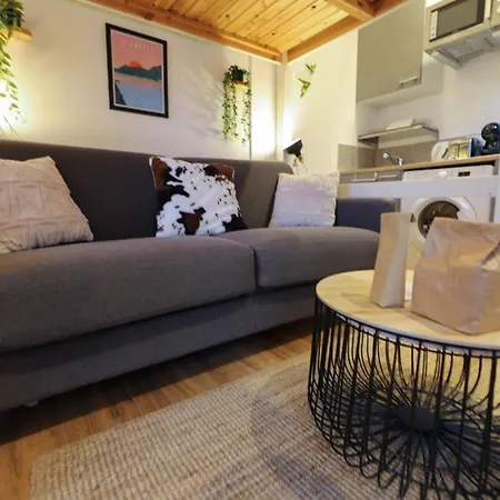 Le Petit - Confortable Avec Parking Apartment *